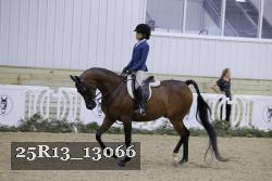 25R13_13066 thumbnail