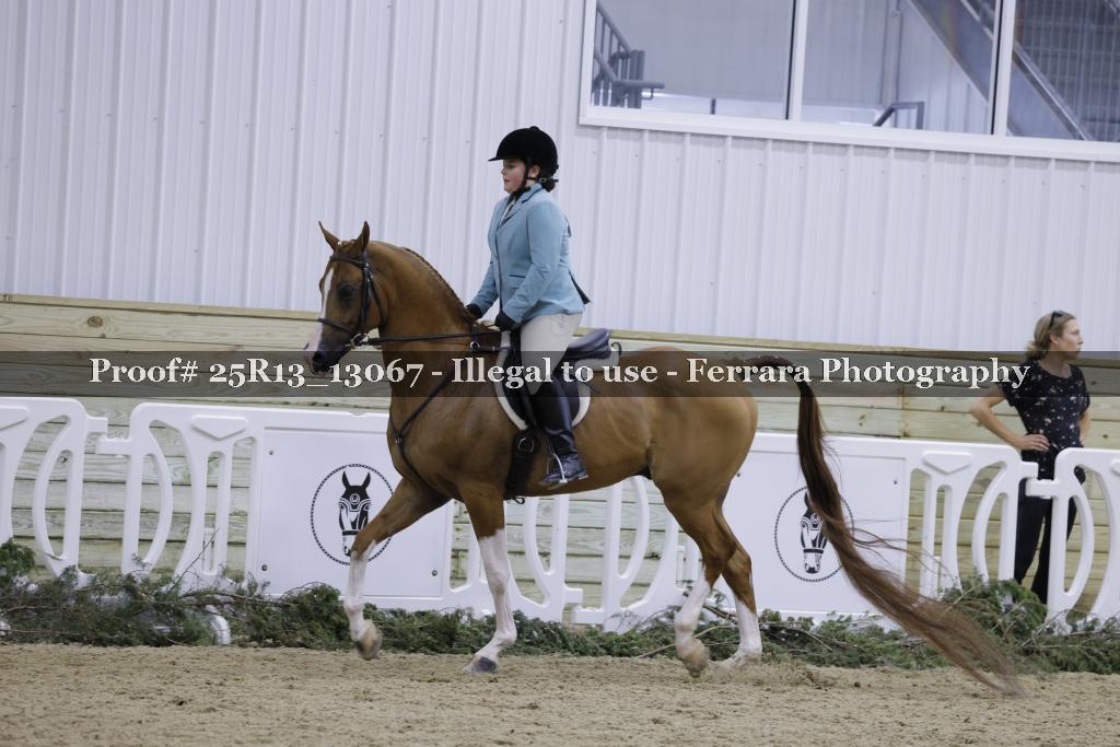 Proof Number 25R13_13067