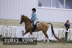 25R13_13067 thumbnail