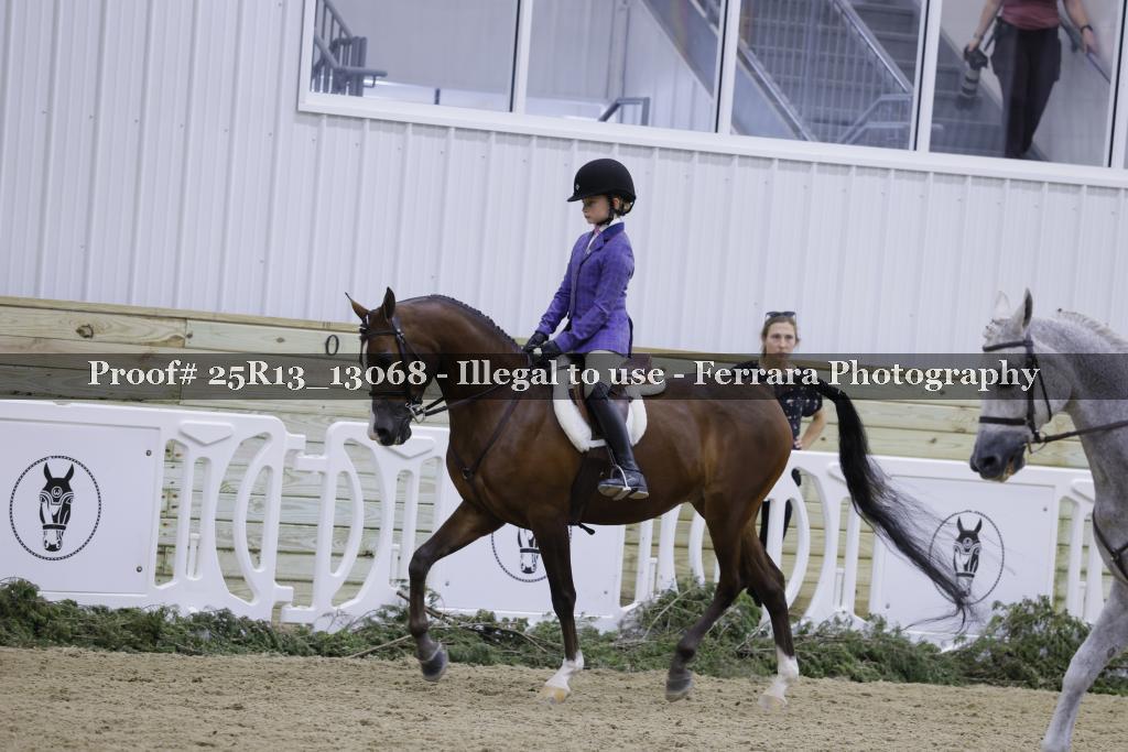 Proof Number 25R13_13068