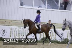 25R13_13068 thumbnail