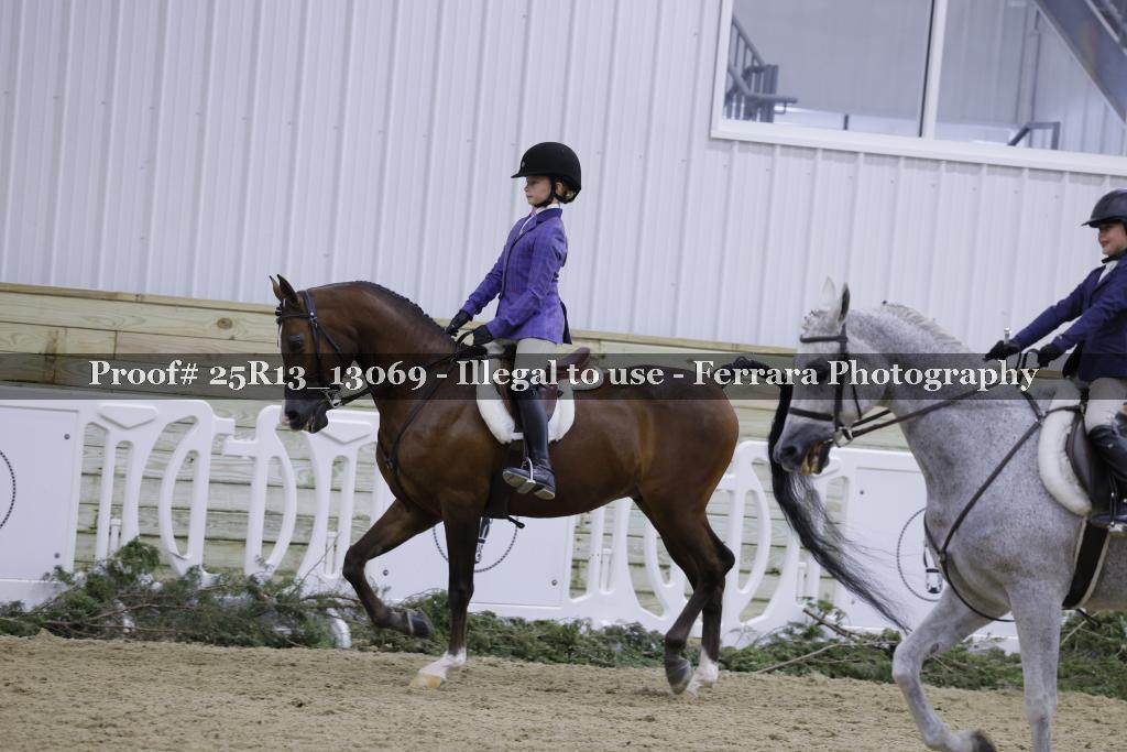 Proof Number 25R13_13069