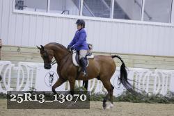 25R13_13070 thumbnail