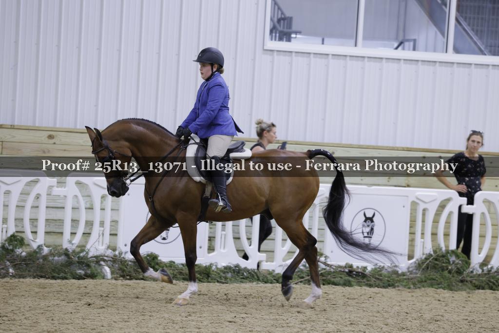 Proof Number 25R13_13071