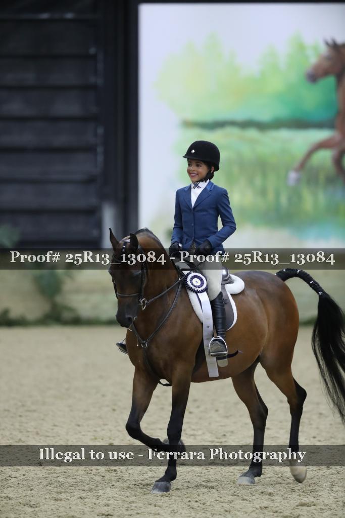 Proof Number 25R13_13084