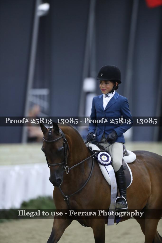 Proof Number 25R13_13085