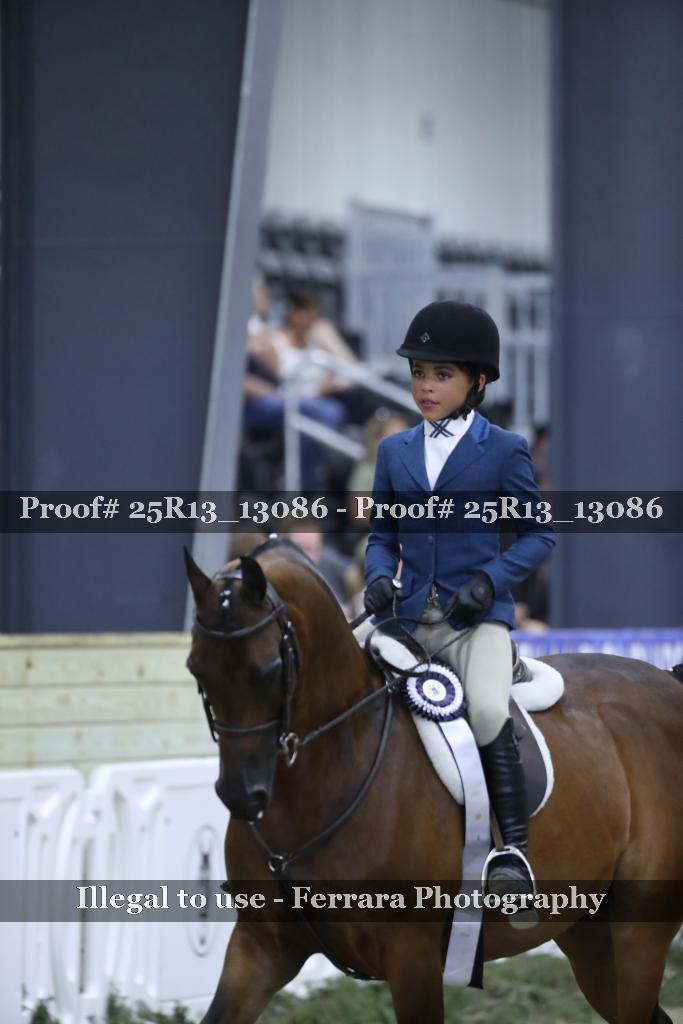 Proof Number 25R13_13086