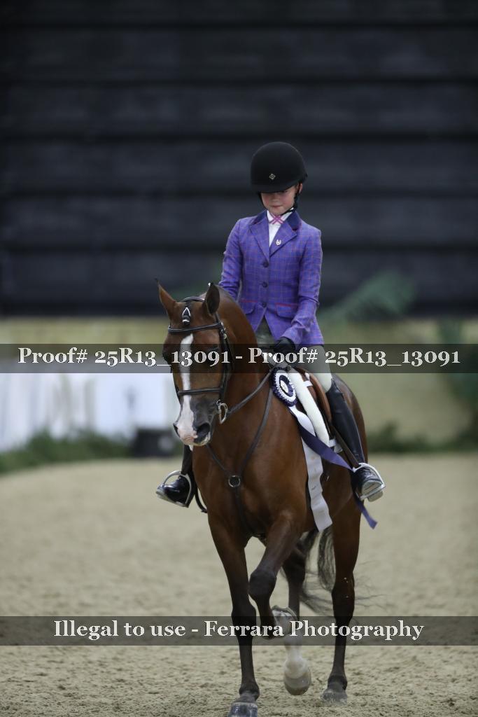 Proof Number 25R13_13091