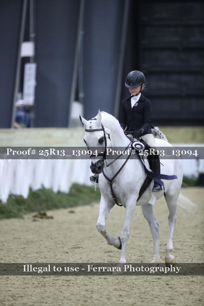 Proof Number 25R13_13094
