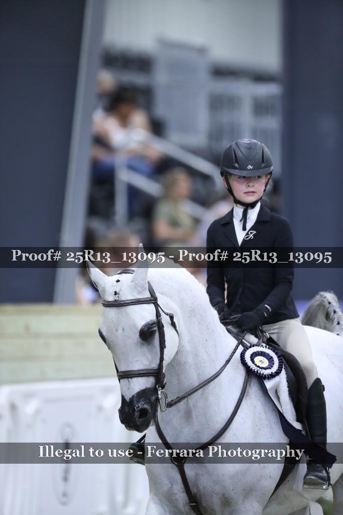 Proof Number 25R13_13095