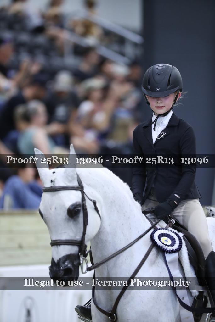 Proof Number 25R13_13096