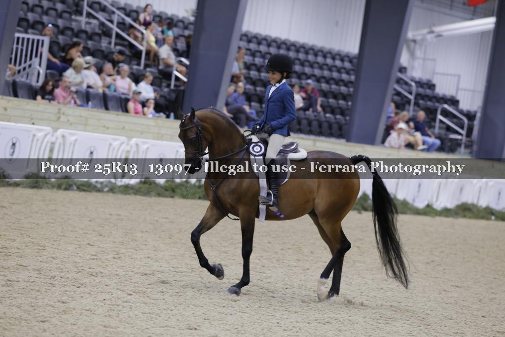 Proof Number 25R13_13097