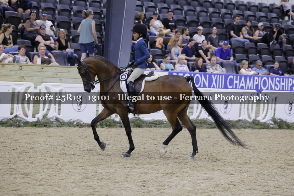 Proof Number 25R13_13101