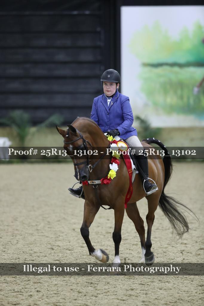 Proof Number 25R13_13102