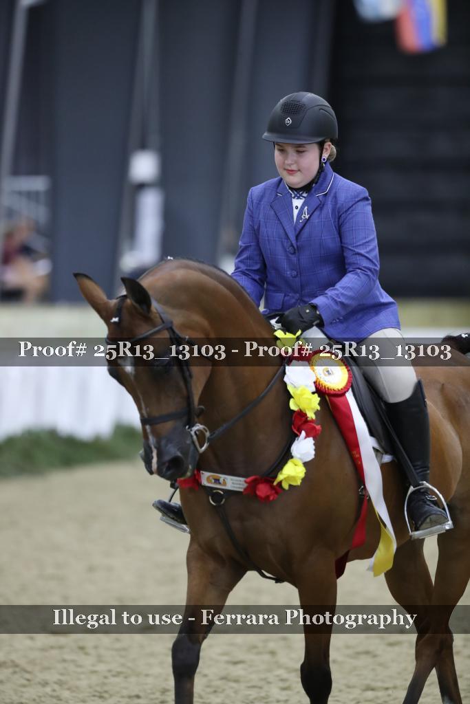 Proof Number 25R13_13103