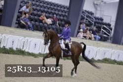 25R13_13105 thumbnail