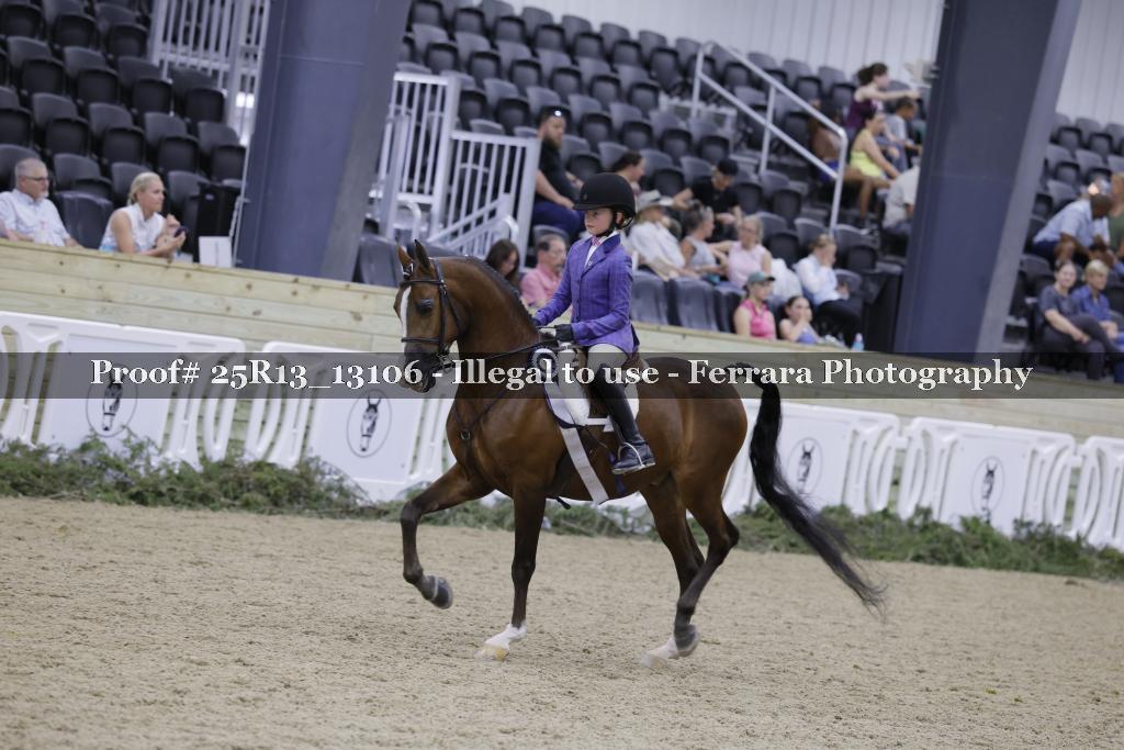 Proof Number 25R13_13106