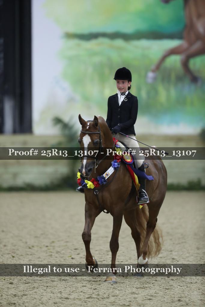 Proof Number 25R13_13107