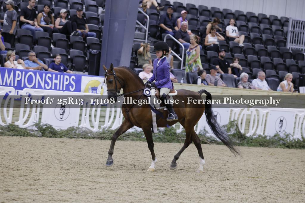 Proof Number 25R13_13108