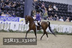 25R13_13108 thumbnail