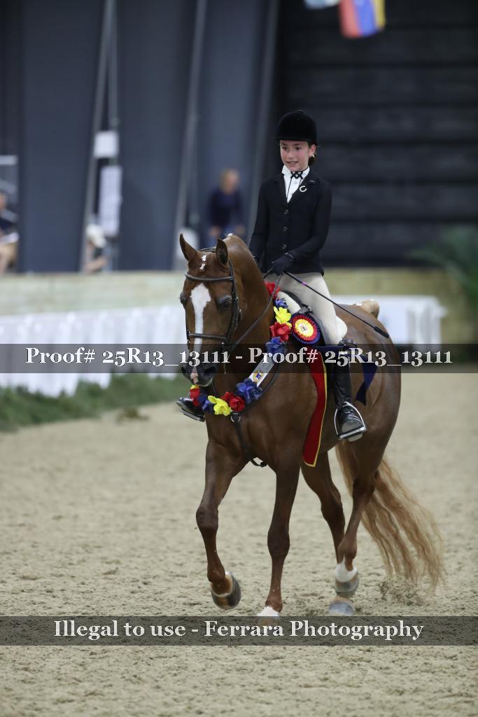 Proof Number 25R13_13111