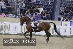 25R13_13112 thumbnail