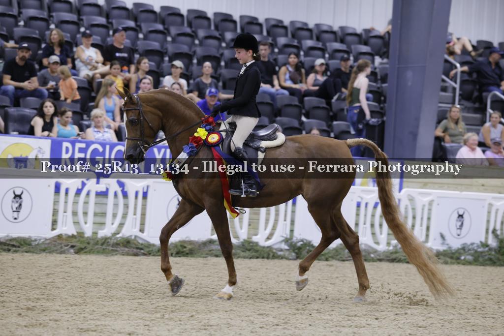 Proof Number 25R13_13134