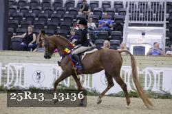 25R13_13136 thumbnail