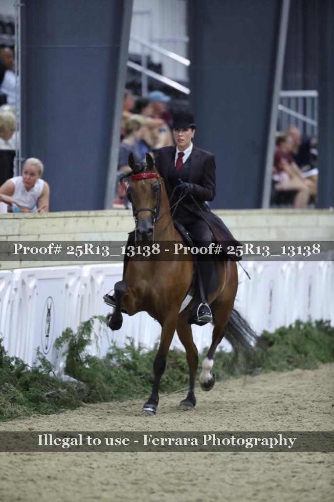 Proof Number 25R13_13138