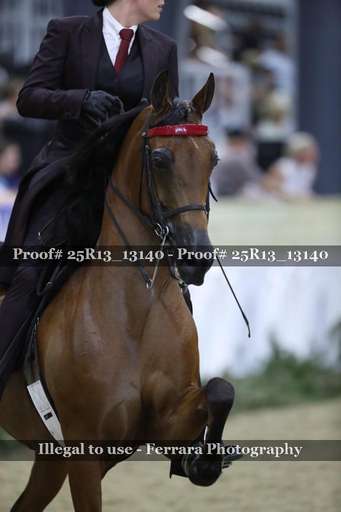 Proof Number 25R13_13140