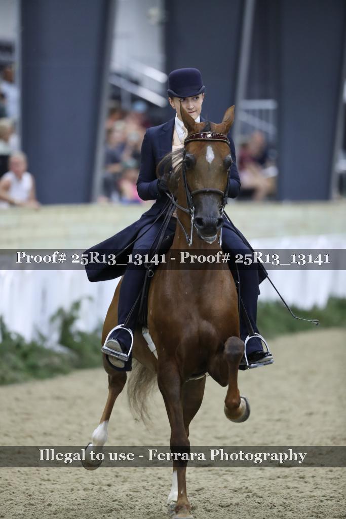 Proof Number 25R13_13141