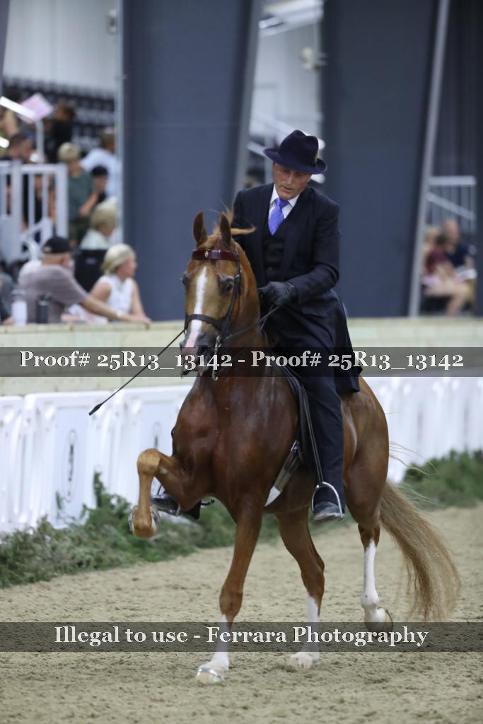 Proof Number 25R13_13142