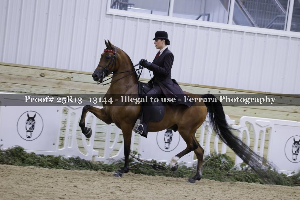 Proof Number 25R13_13144