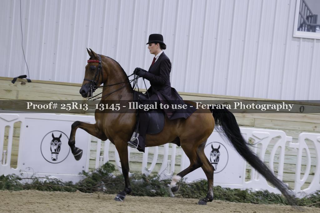 Proof Number 25R13_13145