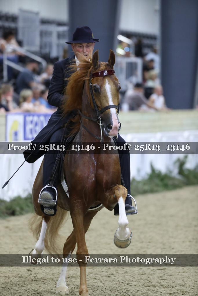 Proof Number 25R13_13146