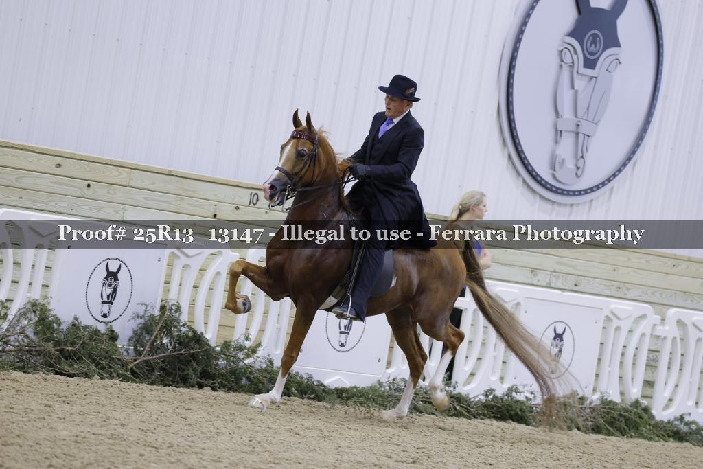 Proof Number 25R13_13147