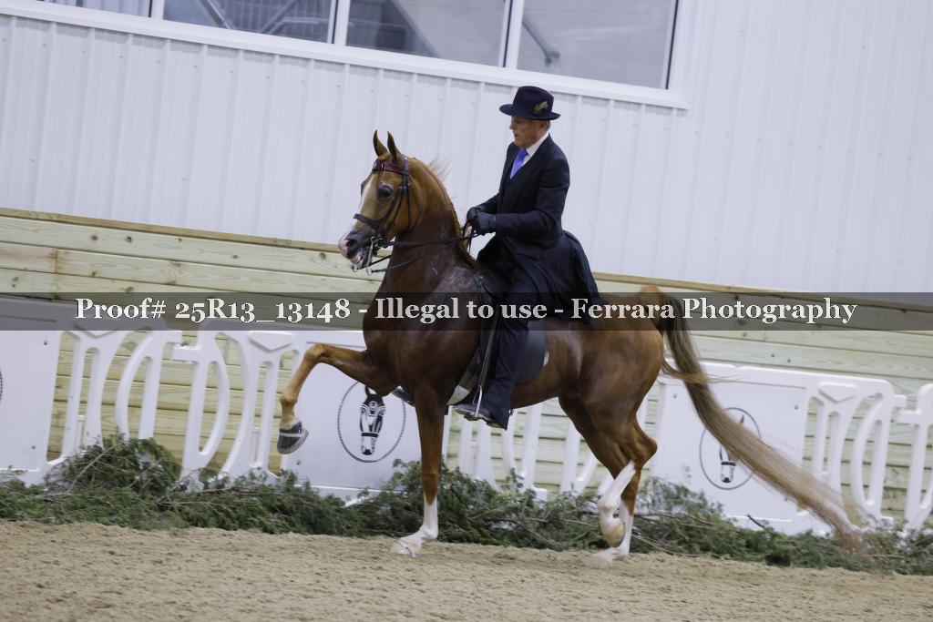 Proof Number 25R13_13148