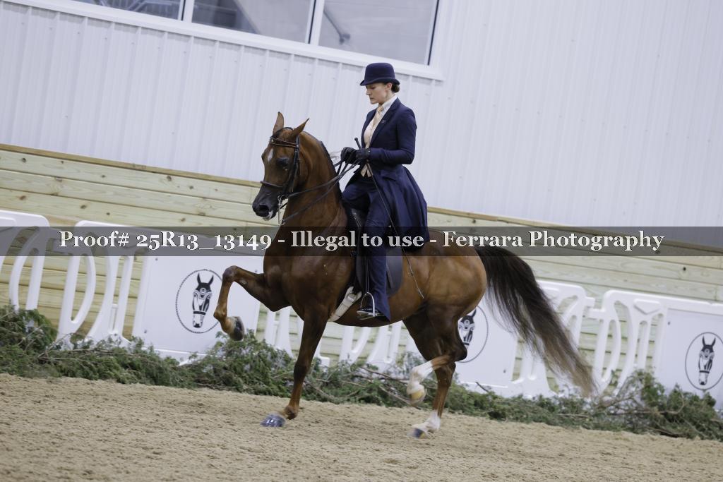 Proof Number 25R13_13149