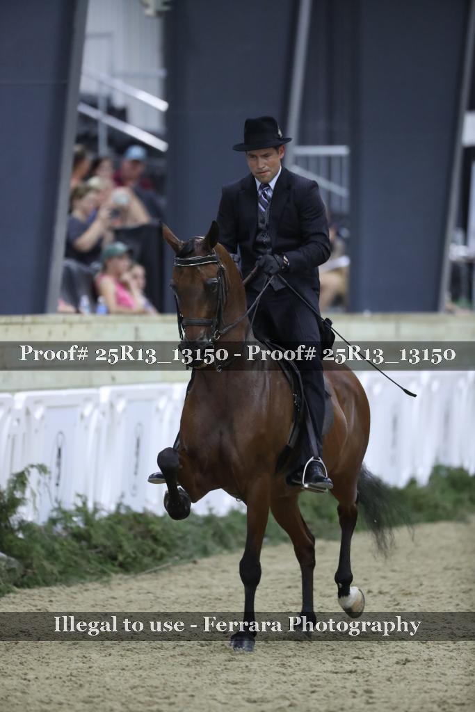 Proof Number 25R13_13150