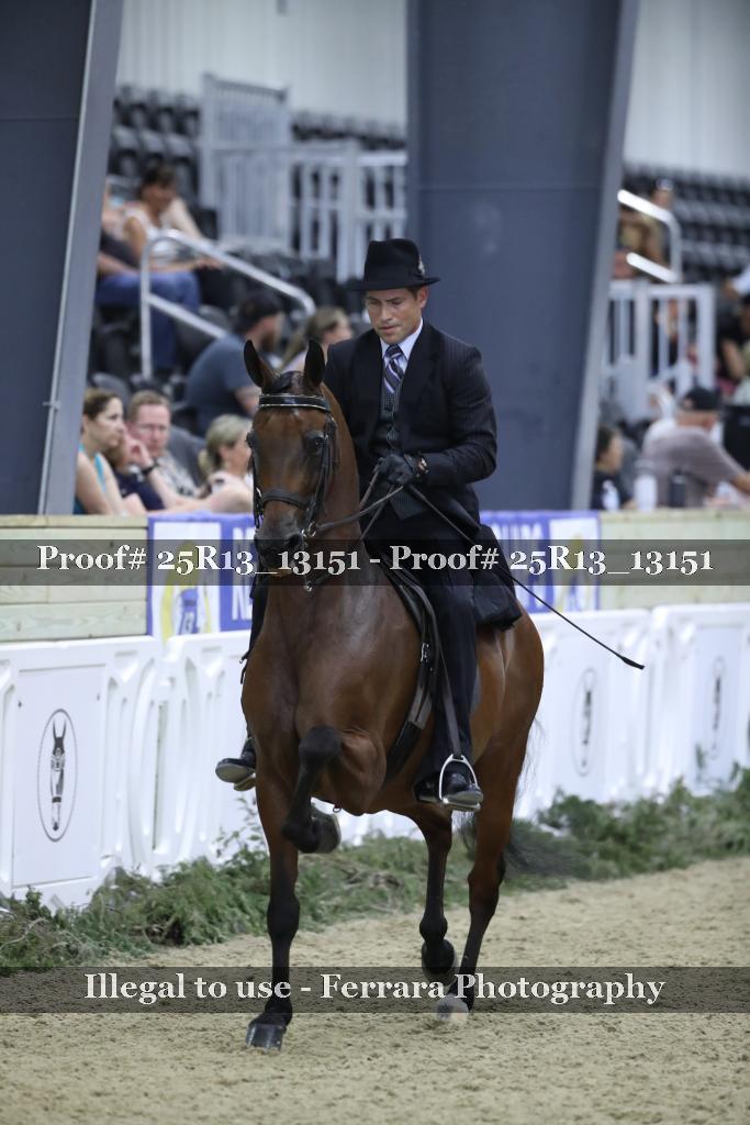 Proof Number 25R13_13151