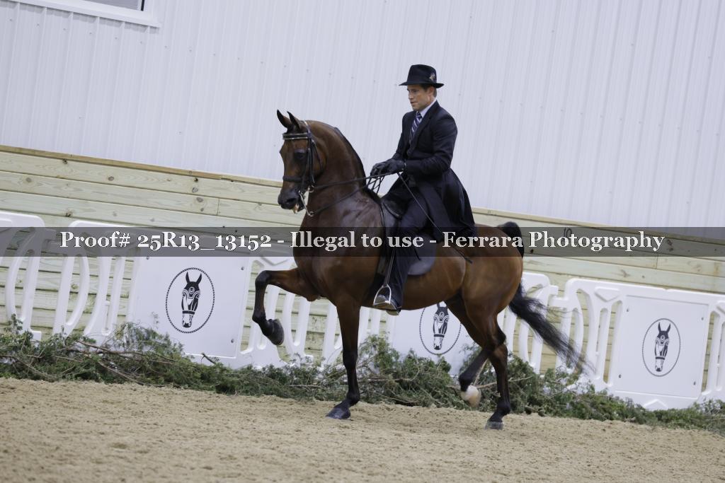 Proof Number 25R13_13152