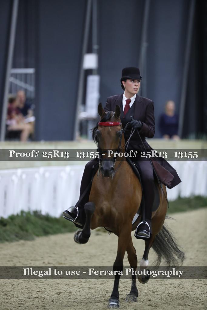 Proof Number 25R13_13155