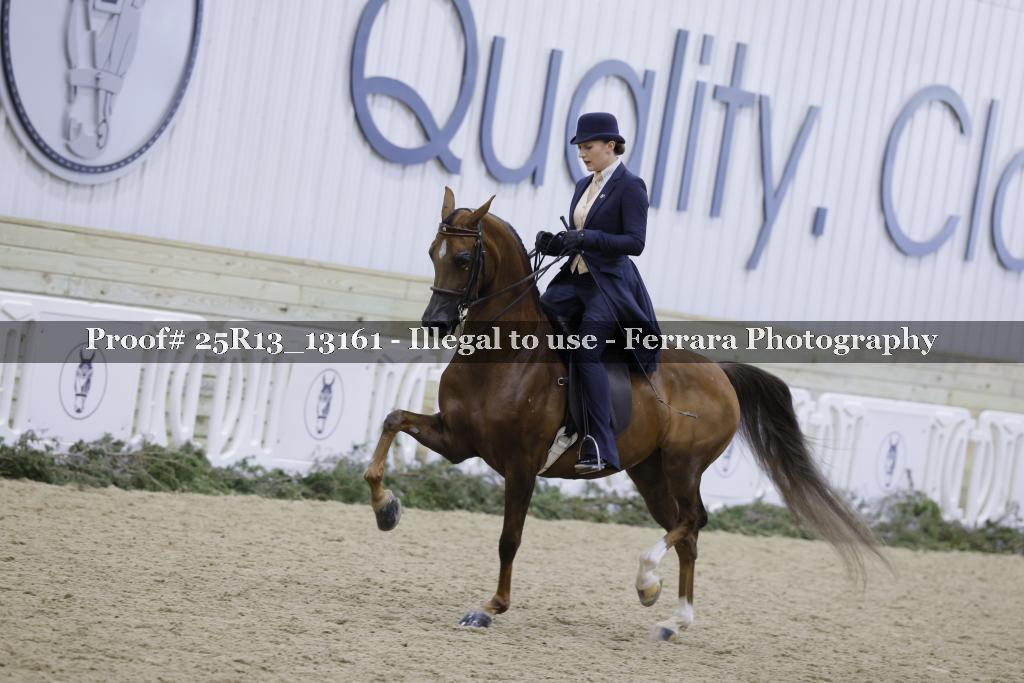 Proof Number 25R13_13161