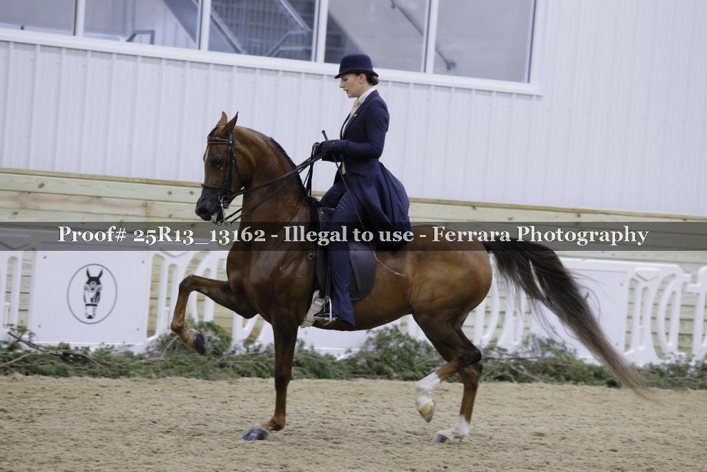 Proof Number 25R13_13162