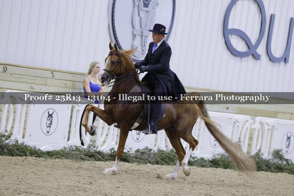 Proof Number 25R13_13164