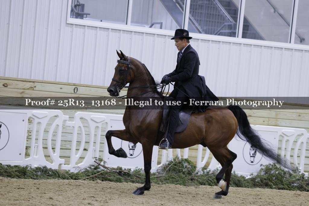 Proof Number 25R13_13168