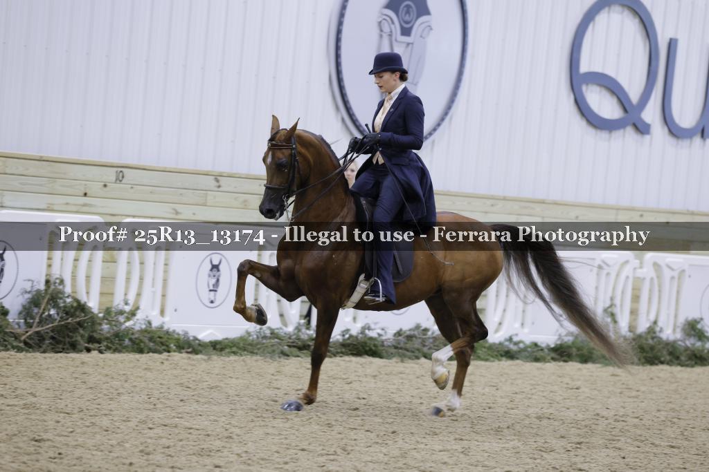 Proof Number 25R13_13174