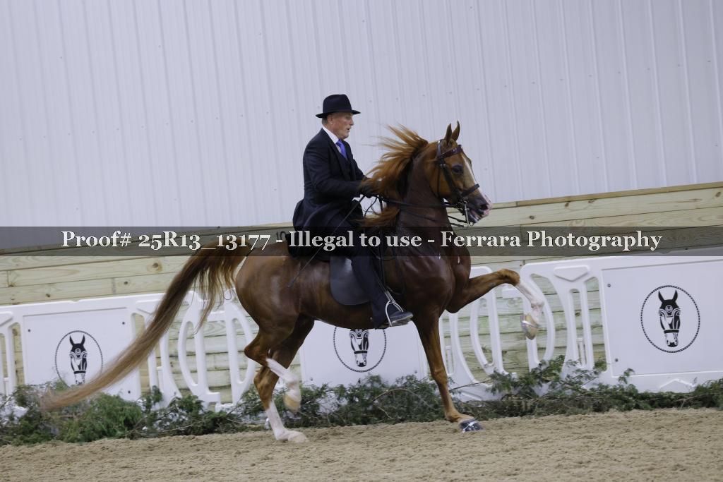 Proof Number 25R13_13177