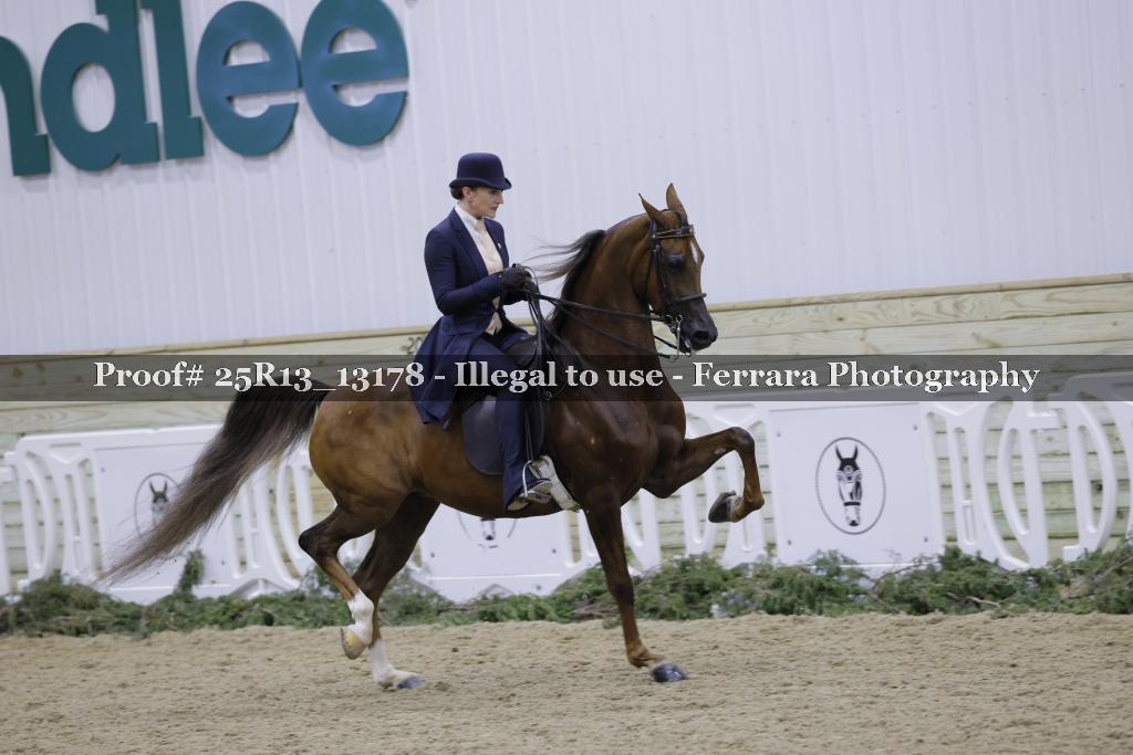 Proof Number 25R13_13178