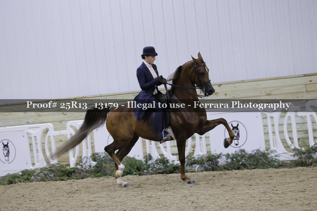 Proof Number 25R13_13179